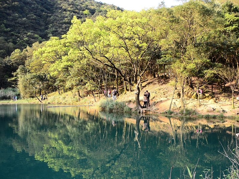 心理醫生的日常-心理治療是曖昧中有深沉，舉棋不定中自有定見的藝術，身心科保健最佳夥伴